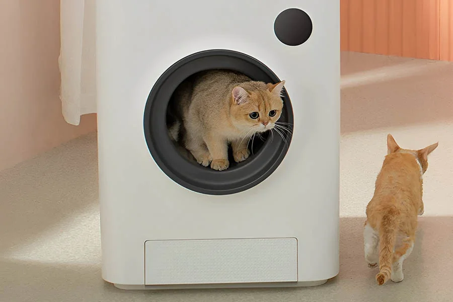 best automatic litter box for cats