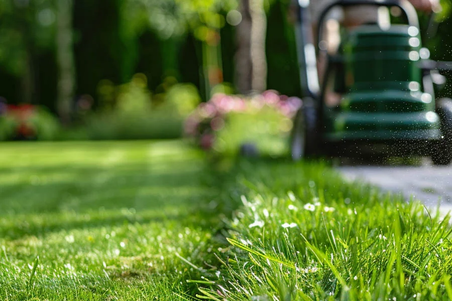 compact electric lawn mower