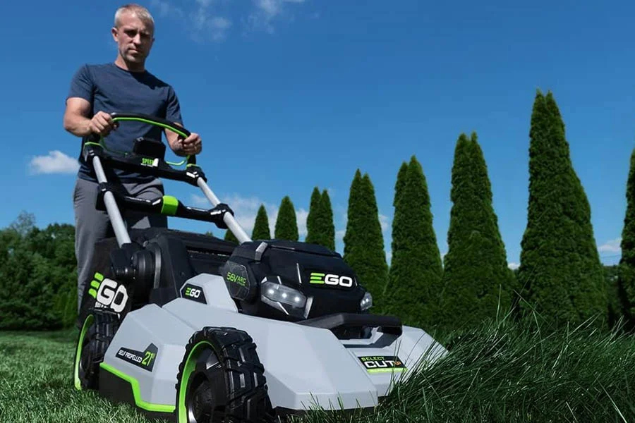 best cordless lawn