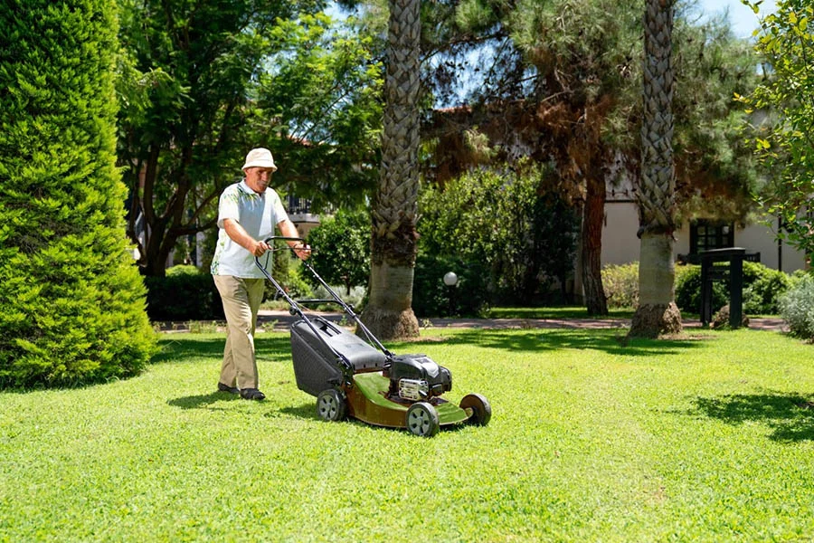 best electric self-propelled lawn mower